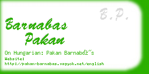 barnabas pakan business card